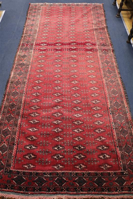 A Belouch red ground rug 310 x 135cm